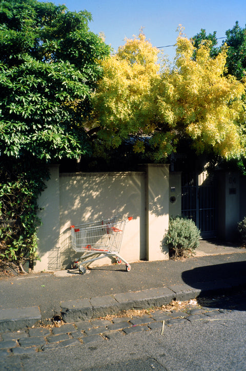 HIKARI Pureday 100 – 35mm Color Reversal Film