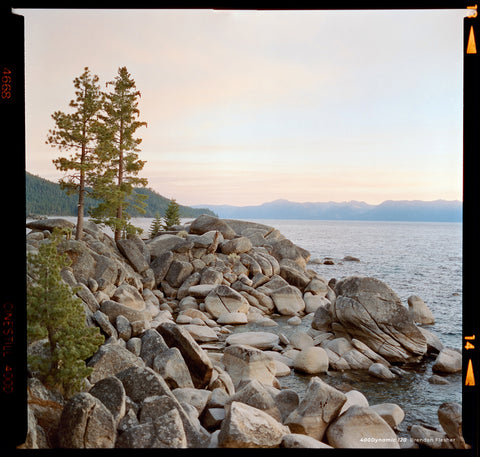 CINESTILL 400DYNAMIC COLOR NEGATIVE FILM, 120