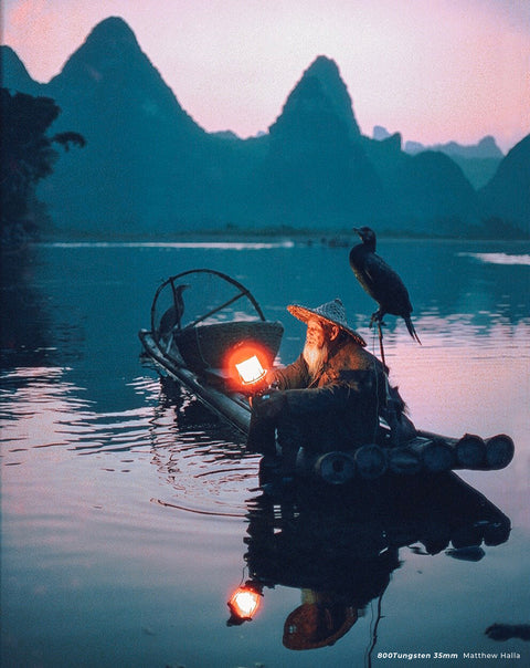 CINESTILL 800TUNGSTEN HIGH SPEED COLOR NEGATIVE FILM, 35MM