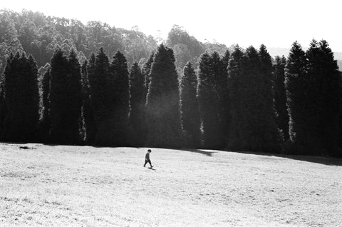 Slavich 200 Fine Grain Black & White 35mm Film – 36 Exposures